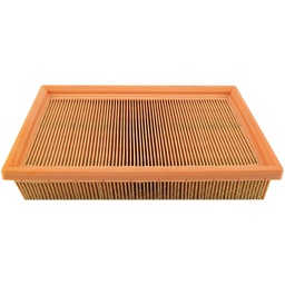 [PA3953] Panel Air Element - فلتر بالدوين 
