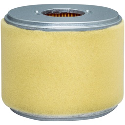 [PA3957] Oval Air Element with Foam Wrap - فلتر بالدوين 